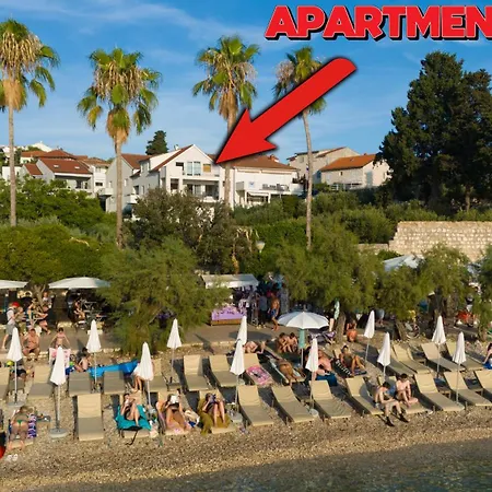 Palm Apartment